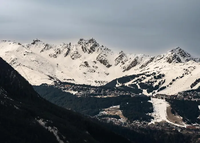 Le Grand Bouquetin - 3 Pieces Pour 6 Personnes Mae-9984 * La Plagne